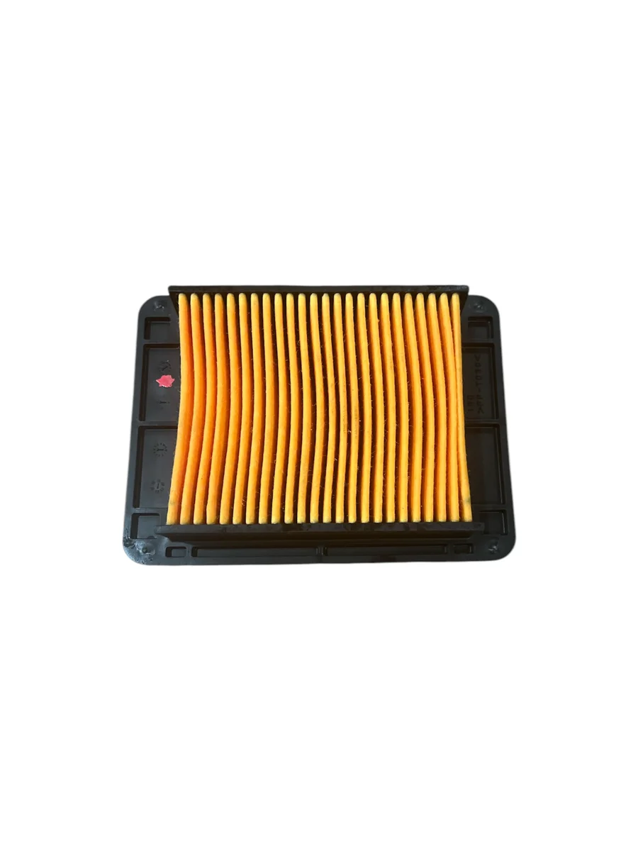 R25 HAVA FİLTRESİ ORJ