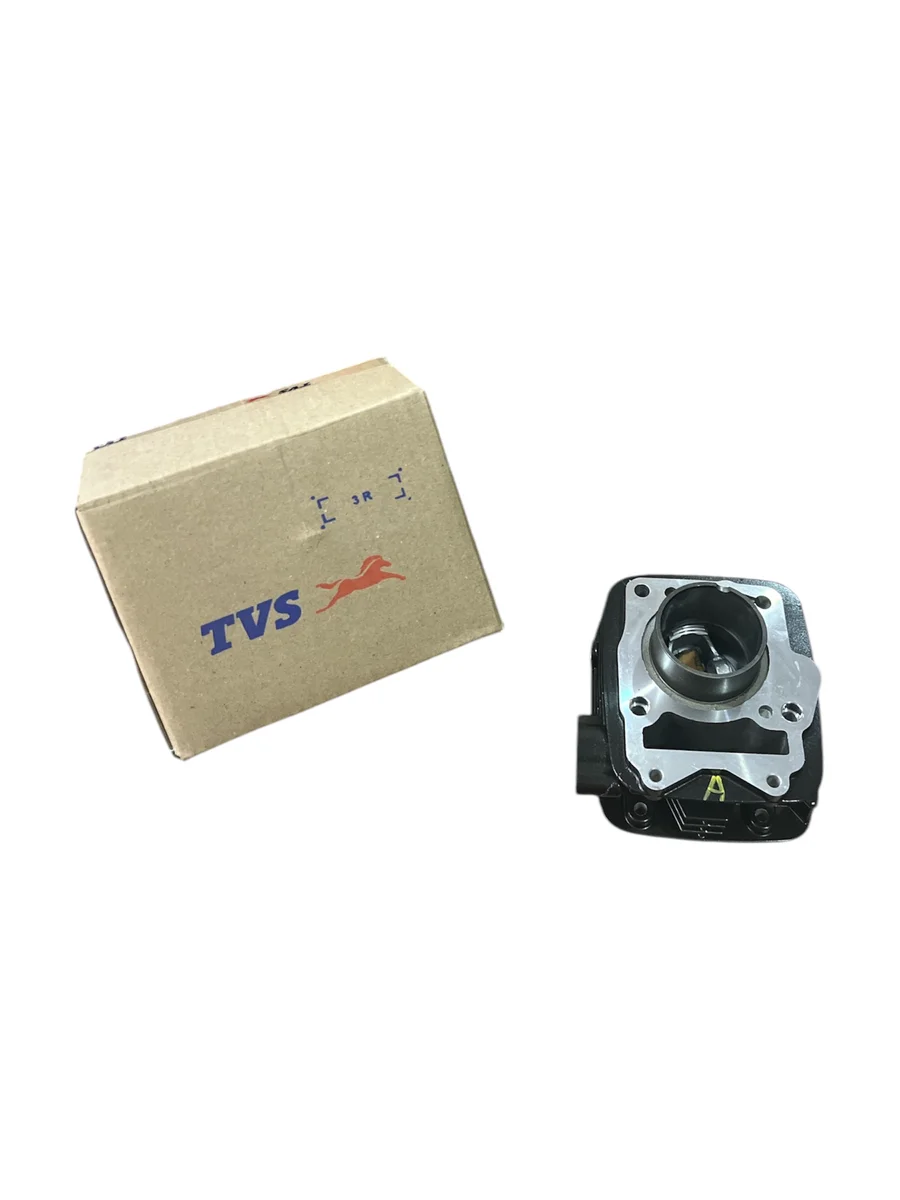 RAİDER125 SİLİNDİR SET ORJ